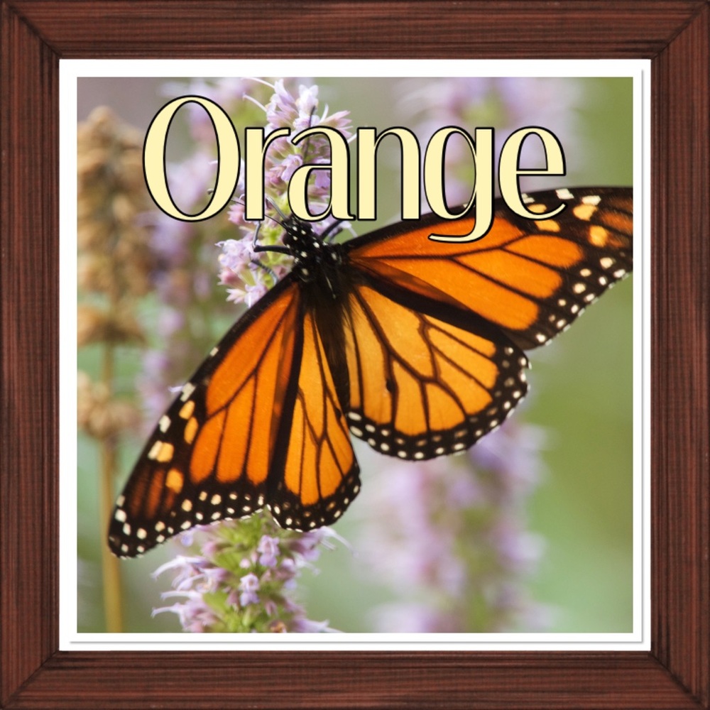 Warm and luxurious shades of gold and orange